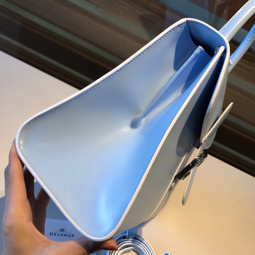 델보 브리앙 박스백 미듐